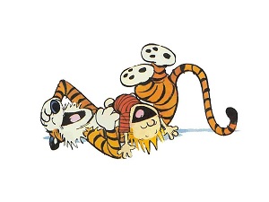 Calvin and Hobbes