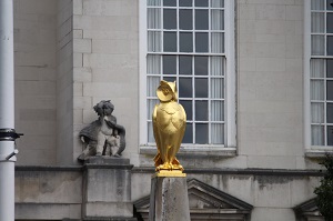 Gold Owl a Leeds