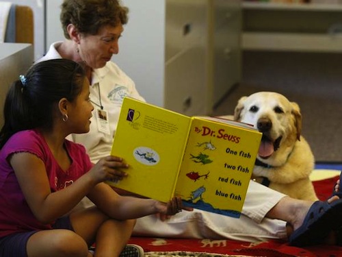 Dog reading Dr Seuss