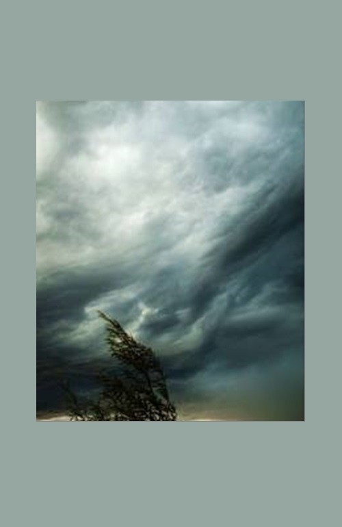 "Arriva il temporale" di Anita Gambelli