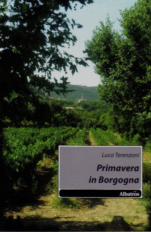 "Primavera in Borgogna" di Luca Terenzoni