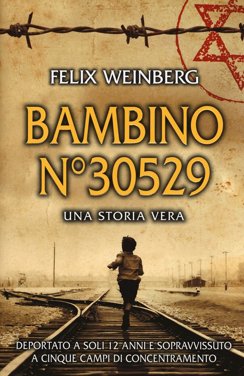 Bambino n°30529