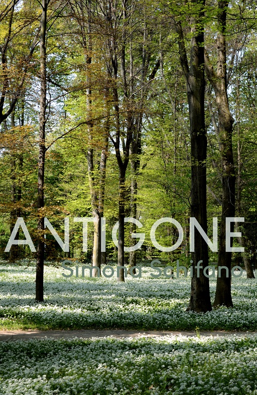 "Antigone" di Sara Schifano