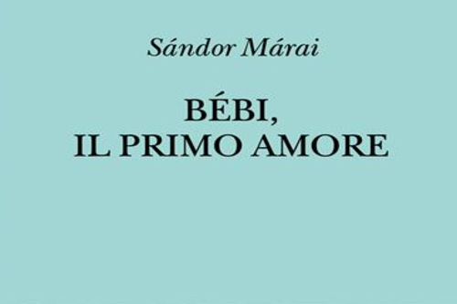 Gruppo di lettura di Roma (LeggerMente Letturati) - Incontro di Dicembre 2024