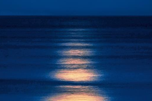 images/news-e-eventi/eventi/come-una-notte-a-bali.png#joomlaImage://local-images/news-e-eventi/eventi/come-una-notte-a-bali.png?width=500&height=333