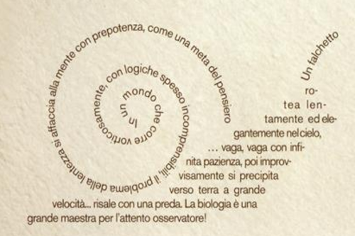 Gruppo di lettura di Bosnasco (Pagine Volanti) - Incontro di Febbraio 2025