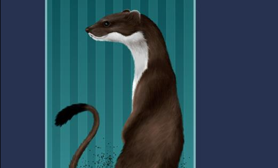 Gruppo di lettura di Torino ( Una mole di libri) - Incontro di Ottobre 2024