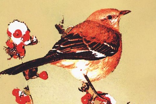 Gruppo di lettura di Brescia (AperiLibro) - Incontro di Ottobre 2024