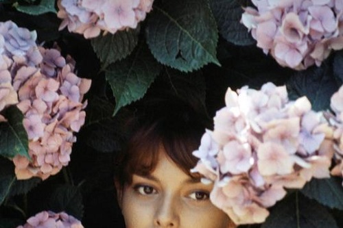 Gruppo di lettura di Firenze (Galeotto fu il libro) - Incontro di Marzo 2024