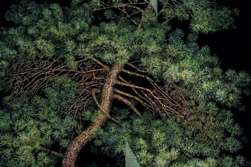 Gruppo di lettura di Venezia (Librovagando)- Incontro di Marzo 2025 