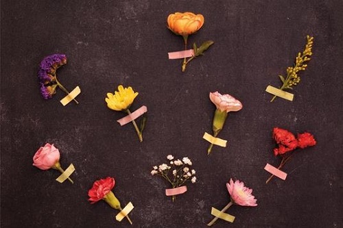 Gruppo di lettura di Torino ( Una mole di libri) - Incontro di Maggio 2022