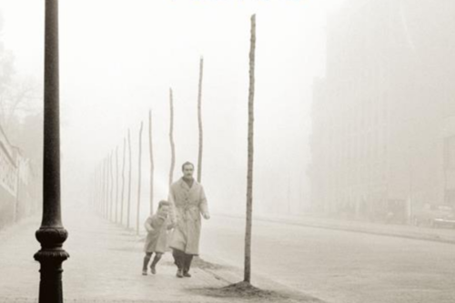 images/news-e-eventi/eventi/l-ombra-del-vento.png#joomlaImage://local-images/news-e-eventi/eventi/l-ombra-del-vento.png?width=500&height=333