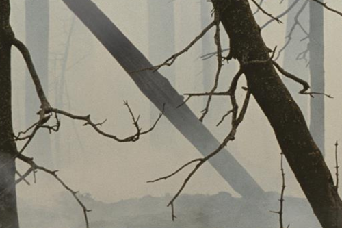 Gruppo di lettura di Torino (Una Mole di libri) - Incontro di Febbraio 2025