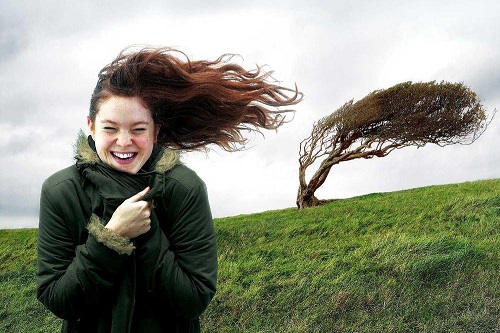 Gruppo di lettura di Roma (Buddenbook) - Incontro di Marzo 2024