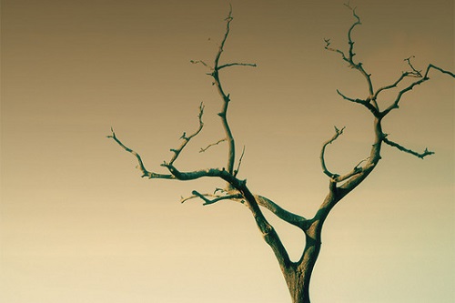 Gruppo di lettura di Catania (La marcia degli Elefanti) - Incontro di Aprile 2021