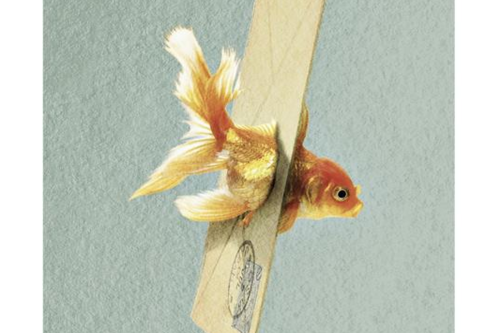 Gruppo di lettura di Venezia (Librovagando) - Incontro di Giugno 2025 