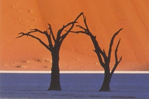 Gruppo di lettura di Milano (Dead Readers Society) - Incontro di Gennaio 2023