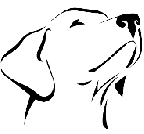 Avatar di Marley_2018