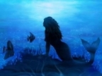 Avatar di sirena71
