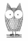 Avatar di Songbird