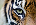 Avatar di bookmark